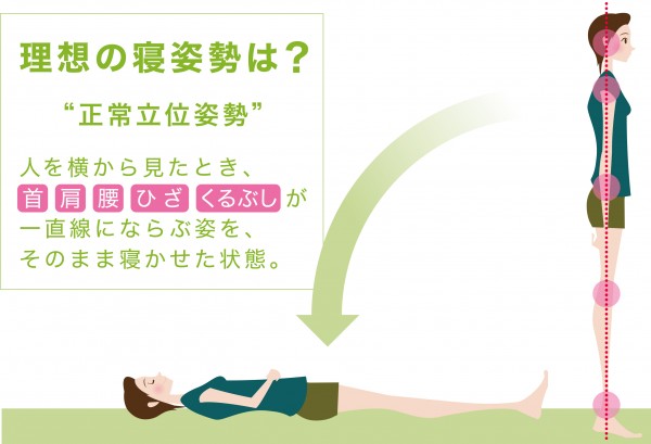理想の寝姿勢2